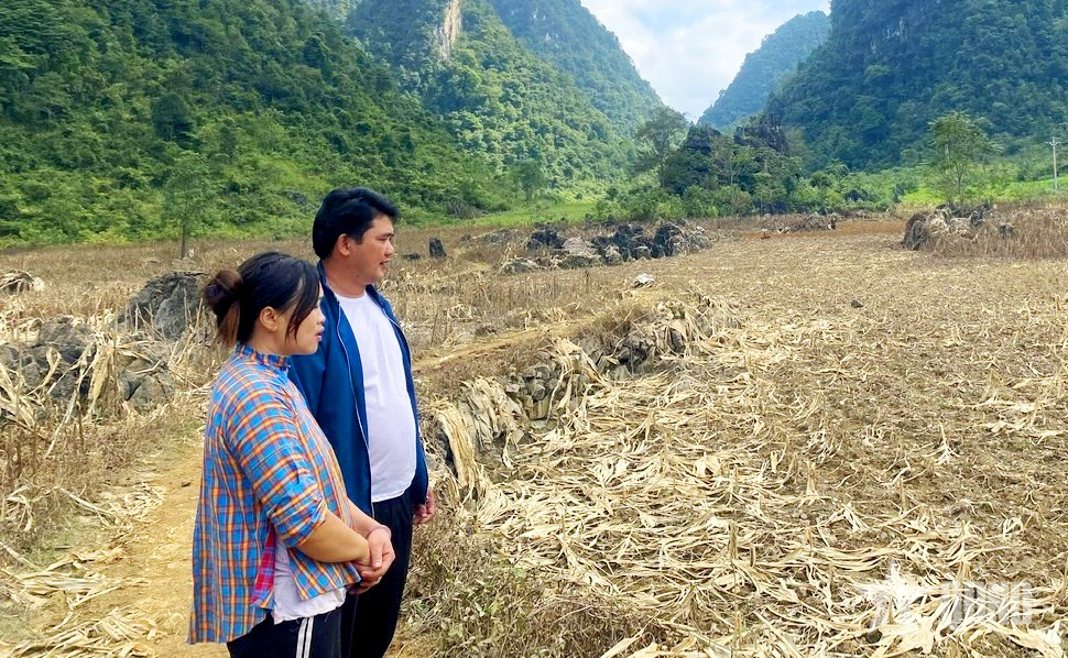 Những người gieo mầm tin yêu vững bước theo Đảng-Bài 3: Bí thư chi bộ Nông Văn Nghiệp và hành trình “chuyển mình” của Lũng Chuống